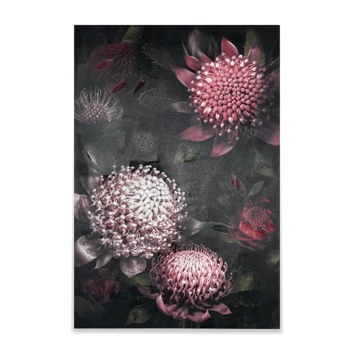 Canvas Art - Midnight Proteas - The Furniture Store & The Bed Shop
