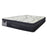 Essence Plush Mattress - The Furniture Store & The Bed Shop
